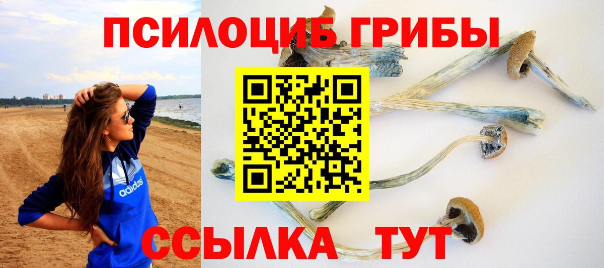 Псилоцибиновые грибы Psilocybe Орехово-Зуево